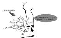 夏秋郊游謹防蜱蟲叮咬